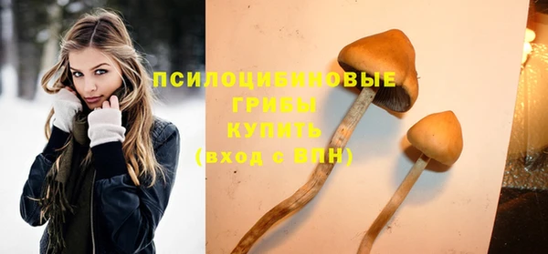 дурь Волоколамск