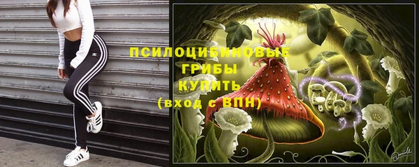 дурь Волоколамск