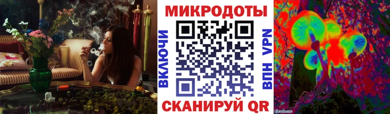 ссылка на мегу ТОР  Новочеркасск  Псилоцибиновые грибы GOLDEN TEACHER  darknet как зайти  где продают  